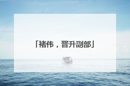 褚伟，晋升副部